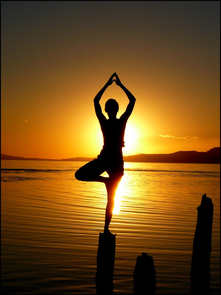 Great-Salt-Lake-ARBRE