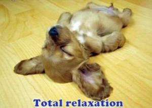 yoganice_total_relaxation