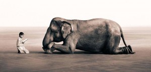 yoganice_la_lecon_de_l_elephant