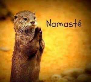 namastemarmotte