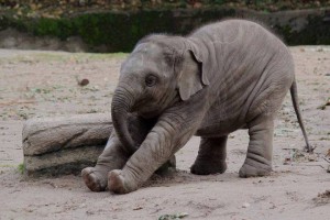 étirements_du-matin